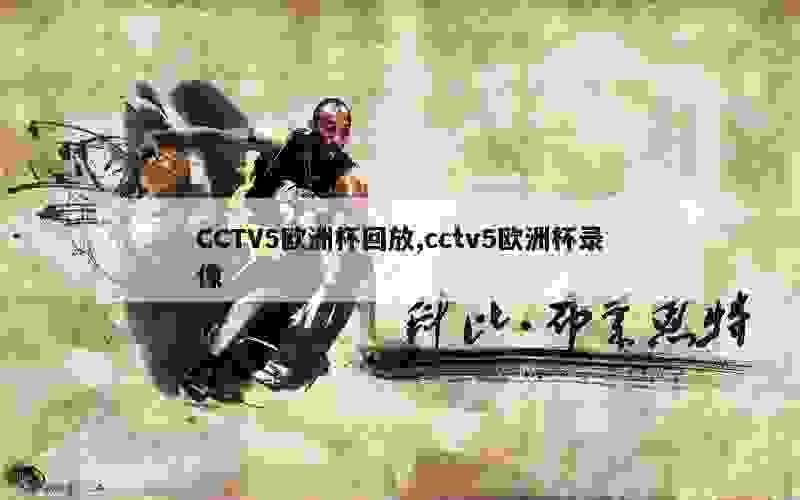 CCTV5欧洲杯回放,cctv5欧洲杯录像