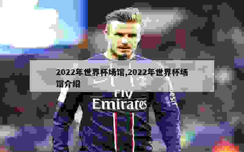 2022年世界杯场馆,2022年世界杯场馆介绍