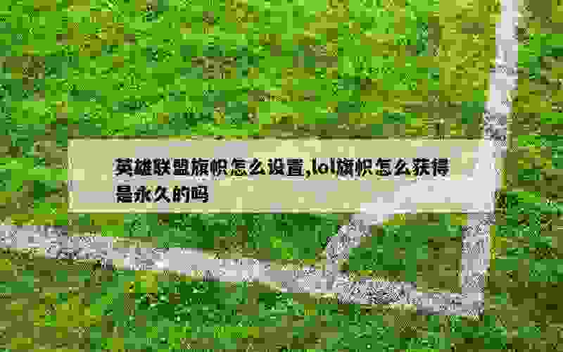 英雄联盟旗帜怎么设置,lol旗帜怎么获得是永久的吗