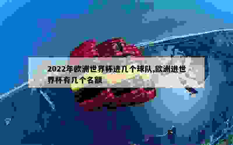 2022年欧洲世界杯进几个球队,欧洲进世界杯有几个名额