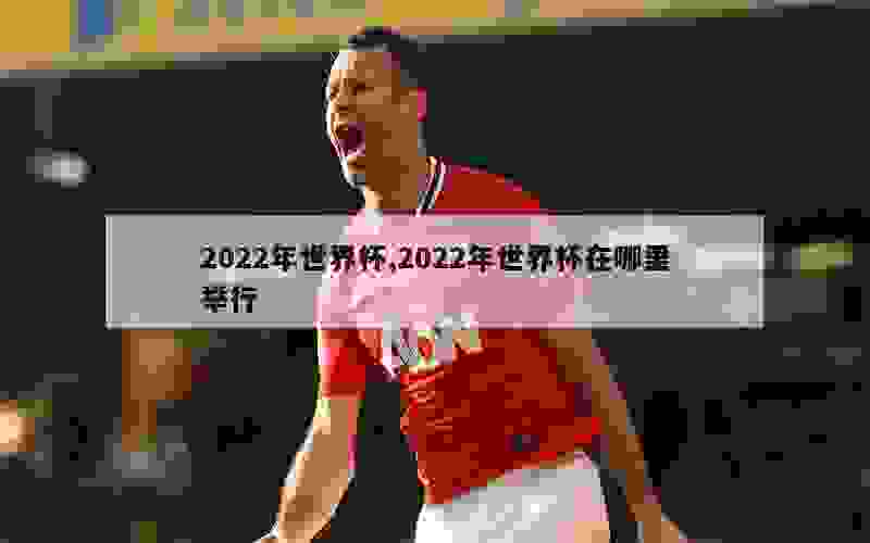 2022年世界杯,2022年世界杯在哪里举行