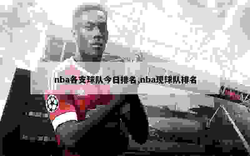 nba各支球队今日排名,nba现球队排名