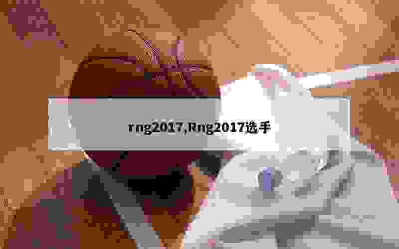 rng2017,Rng2017选手