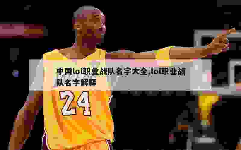 中国lol职业战队名字大全,lol职业战队名字解释