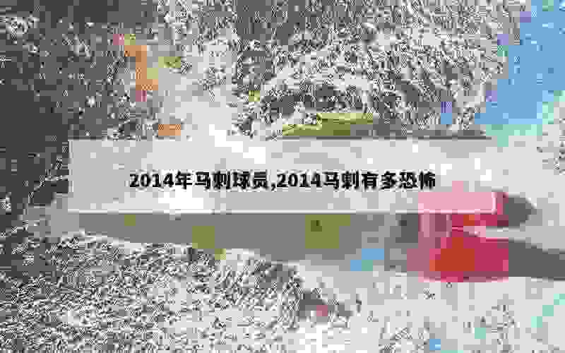 2014年马刺球员,2014马刺有多恐怖