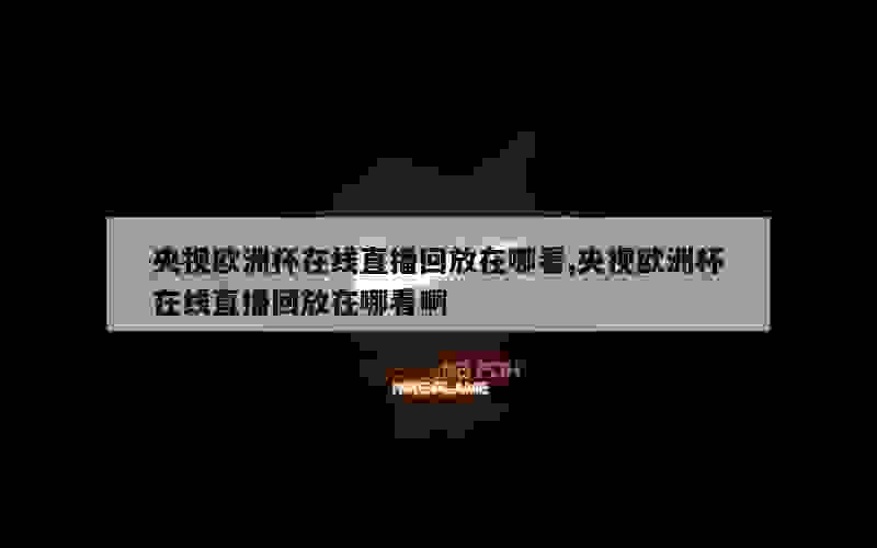 央视欧洲杯在线直播回放在哪看,央视欧洲杯在线直播回放在哪看啊