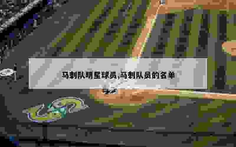 马刺队明星球员,马刺队员的名单