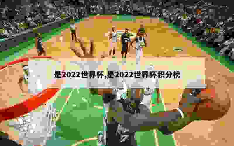 是2022世界杯,是2022世界杯积分榜