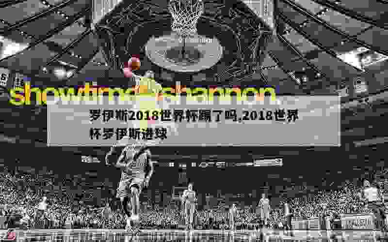 罗伊斯2018世界杯踢了吗,2018世界杯罗伊斯进球