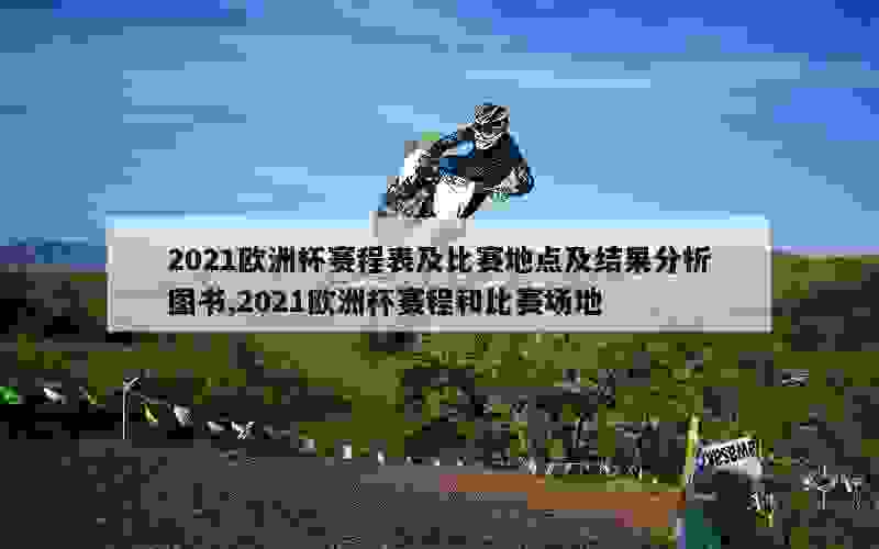 2021欧洲杯赛程表及比赛地点及结果分析图书,2021欧洲杯赛程和比赛场地