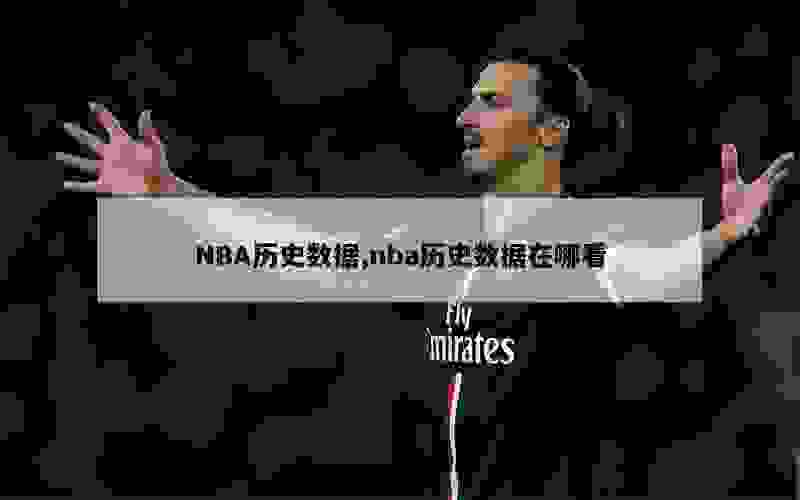 NBA历史数据,nba历史数据在哪看