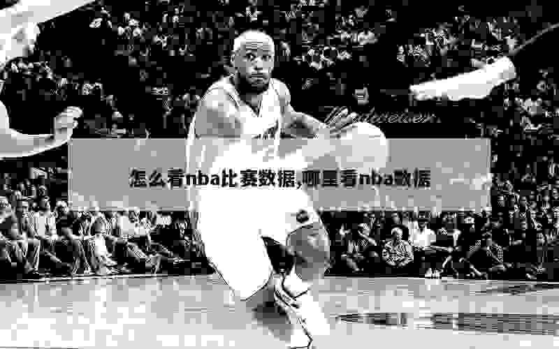 怎么看nba比赛数据,哪里看nba数据